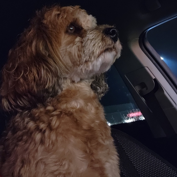 I Consider Offers🌻 - Picture 4 of 14